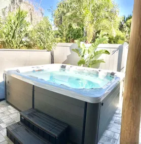 Palm Harbor Retreat: HotTub, TikiHut, Nr Clearwater - Image 4