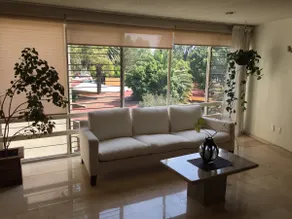Comfortable and very pleasant apartment - Image 3