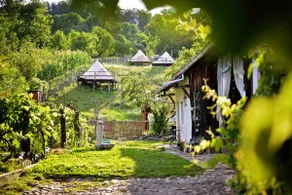 Saxon House @Saschiz 130 - Image 4