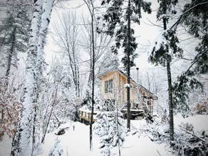 Off Grid Secluded Cabin on 37 Acre Farm - Image 5