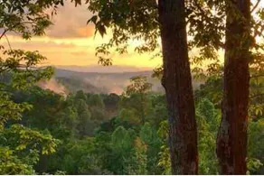Million Dollar View! Peaceful, Cozy Apartment. - Image 2