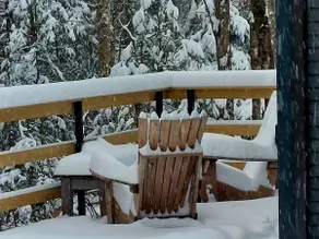 Northwoods Guest  Cabin & porch overlooking private woods and stream - Image 5