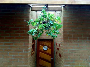 Toatoa Hostel - Owl - Image 4