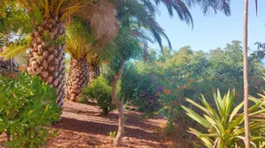 Villa Tía Herminia - Image 2