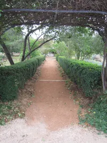 Marlow House Garden Studio Canowindra - Image 5