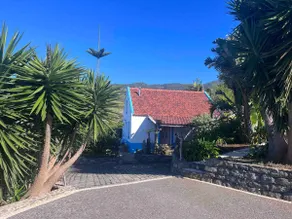 Lucky Lemons - Boutique Houses Madeira - 2 - Image 3