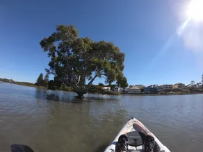 Picturesque Views from the Pool of Moreton Bay - Image 3