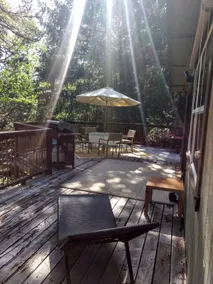 Forest Garden, An adventure cabin in Apple Hill - Image 3