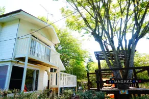 TreedeckPizzaBBQGolfHouse - Image 2