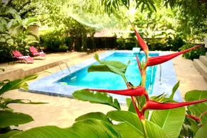 The Mandrem House | 5Bhk Villa | Zero Airbnb Fee - Image 3