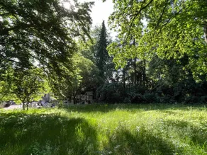 Quiet garden house on the edge of the forest with sheep - Image 3