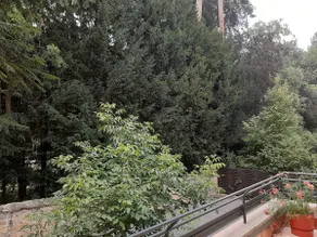 Art Nouveau apartment near the castle - Image 3