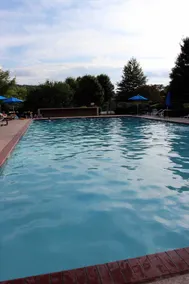 Sky Valley Mountain Retreat- Casa Dolce Vita! - Image 5