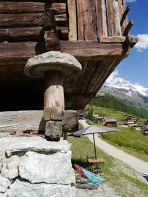 Mayen in Olivier, Val d'Hérens, Valais, Sion, Switzerland - Image 3