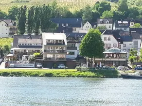 Vacation apartment Moselle vacation in Zell (Moselle) - Image 2