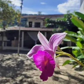 Itamambuca Casa de Praia - Image 5
