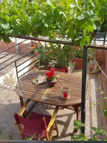 Traditional Residence with terrace - Image 3