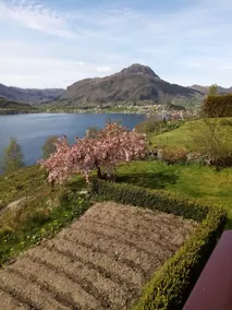 Sandeidfjorden overnatting - Image 3