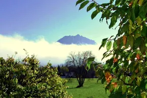 Cozy + Romantic Apartment Country House Panorama - Image 4