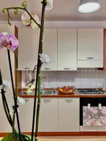Oro&Mattia's House - Image 5
