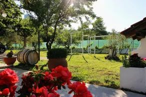 Pomegranate Tree House - Meteora - Image 4