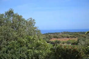 detached house, surrounded by greenery overlooking the sea - Image 5