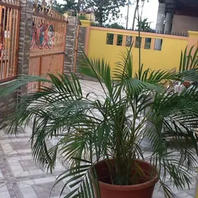 Private Studio w/ AC + Internet near UWI/Airport - Image 3