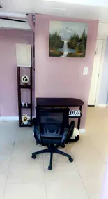 Spacious and Cozy Lower Level Apartment in LI - Image 3