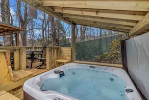 Near Downtown Black Mtn-Hot tub/Fireplace/Fire-pit - Image 5