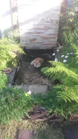 Crescent cottage - Image 4