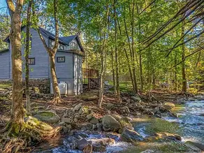 Stream Come True | Hot Tub, Ski, Hike, Relax - Image 5