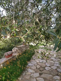 ”Rosmarino” wooden farmhouse among the olive trees - Image 2