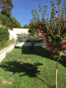 Mini Villa - Image 4