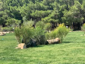 Exclusive Farm - Image 5