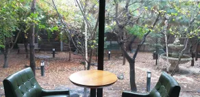 Lego House. Spacious dining area, spacious gathering place, private movie theater, (optional) charcoal barbecue for private use, rabbit - Image 4