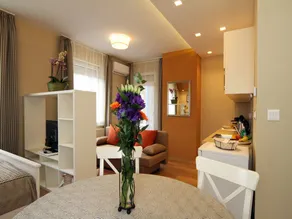AC Apt | Thermal Bath 5 min | City Centre 10 min - Image 3