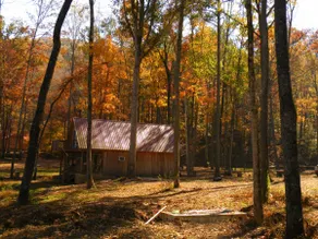 Lazy G Cabin #4 Creeks Edge - Image 5