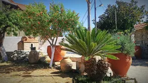 ”Traditional, lush cottage” - Image 2
