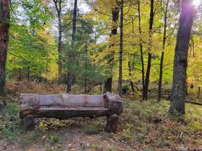 Family-friendly cozy log cabin nestled on lake - Image 3
