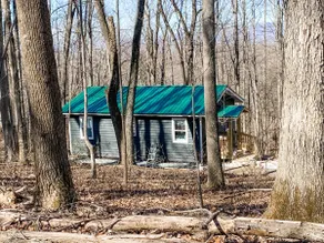 Mountain Retreat Nesteled in the Virginia Foothills - Image 2