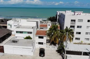 Luxury Beach House Oceanfront - Image 4