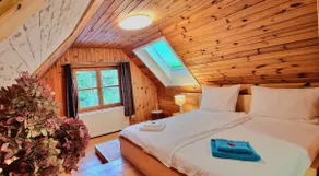 Log cabin at the edge of the forest - Image 2
