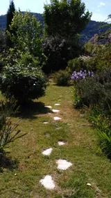 Rental near Mt Ventoux - Image 4