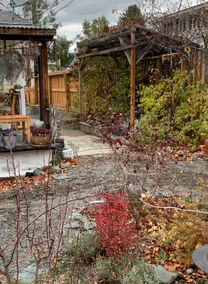 Black Cat Guest House - Image 2