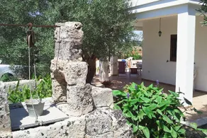 Villa among the olive trees and the sea in Tricase - Image 5