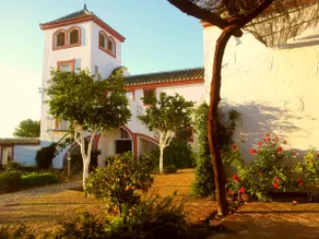 Historical Cortijo in Outstanding Location - Image 2