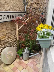 Papy's house, apartment, patio - Image 3