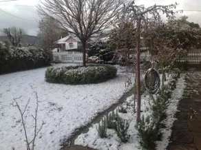 Comerford Hall B & B Tenterfield - Image 3