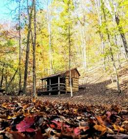 Bird Hollow Cabin (1 room antique logs) - Image 3