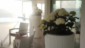 White Club Residence - Image 5